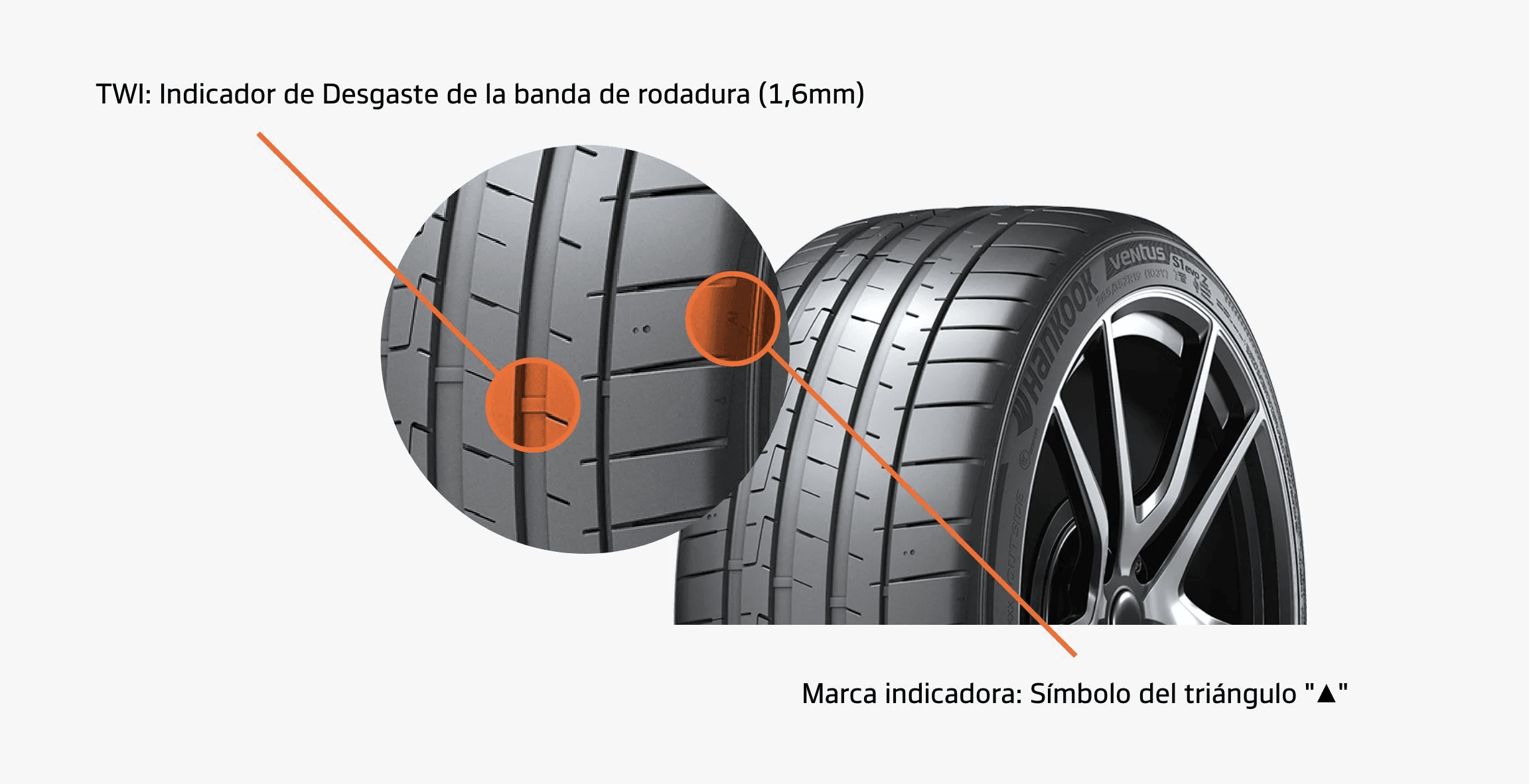 mojado-7.png